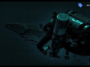 Rebreathing with a Whaleshark