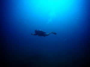 Solo Diving