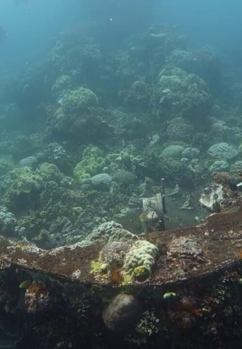 The Top 5 Wreck Dives in the World