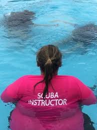 How Long Does a Dive Last?