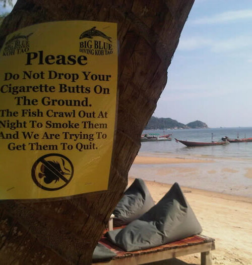 Koh Tao Marine Conservation