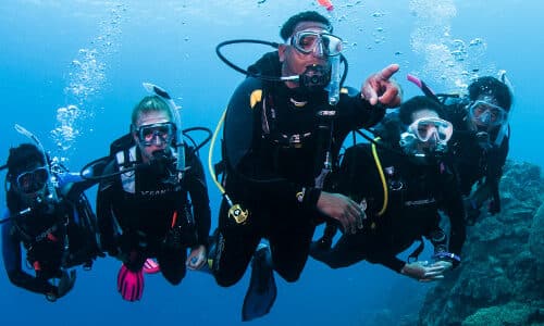 Divemaster or Dive Instructor?