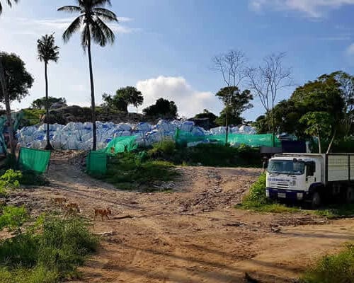 Conservation on Ko Tao