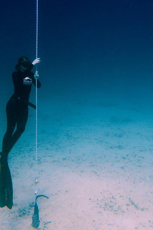 Freediving at night?