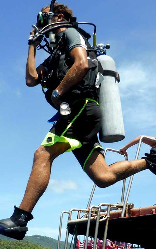 The Open Water Scuba Diver