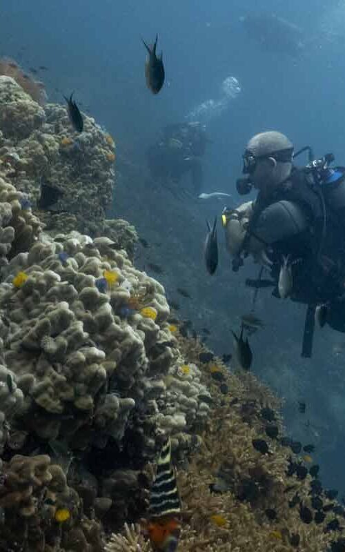 Peak Performance Buoyancy
