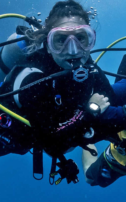 After the SSI Instructor Course do an Internship.