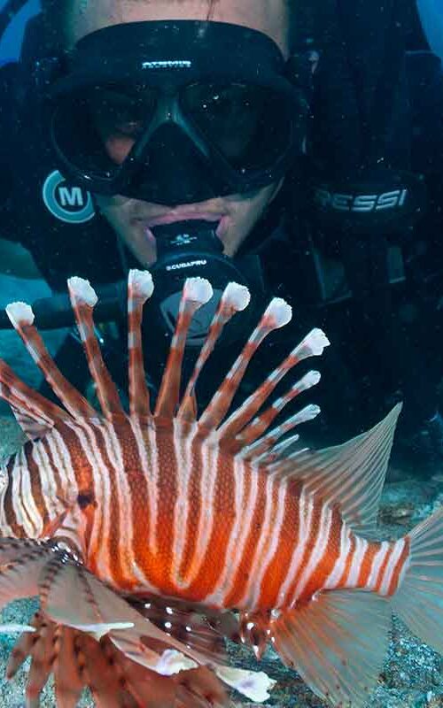 Why learn to Dive?
