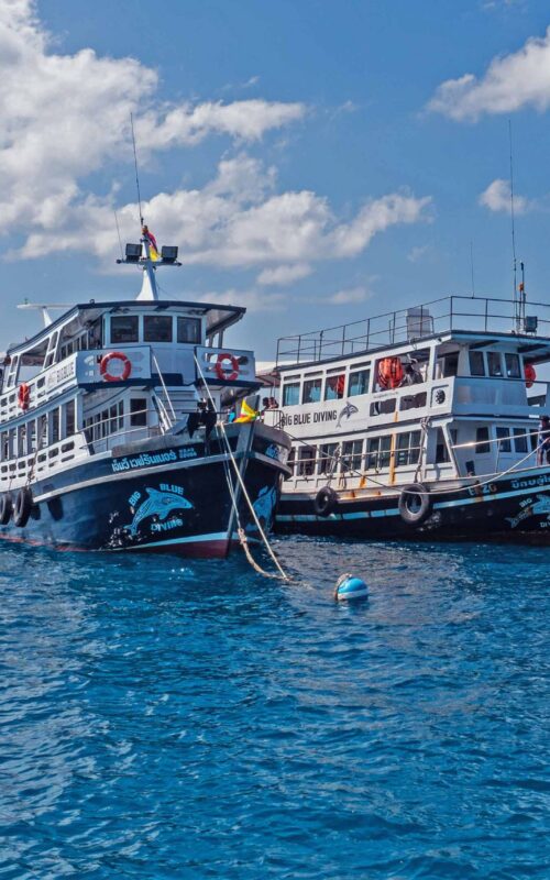 Koh Tao Dive boats.
