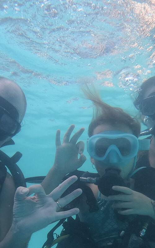 What is the SSI Open Water Course?