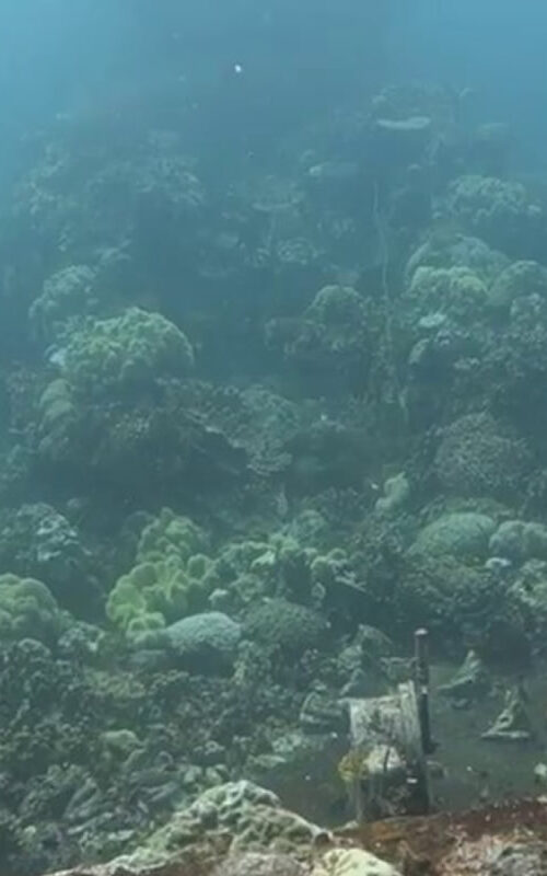 Another wreck dive on Koh Tao