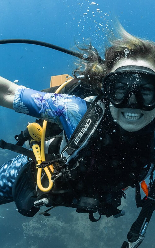 Koh Tao is open