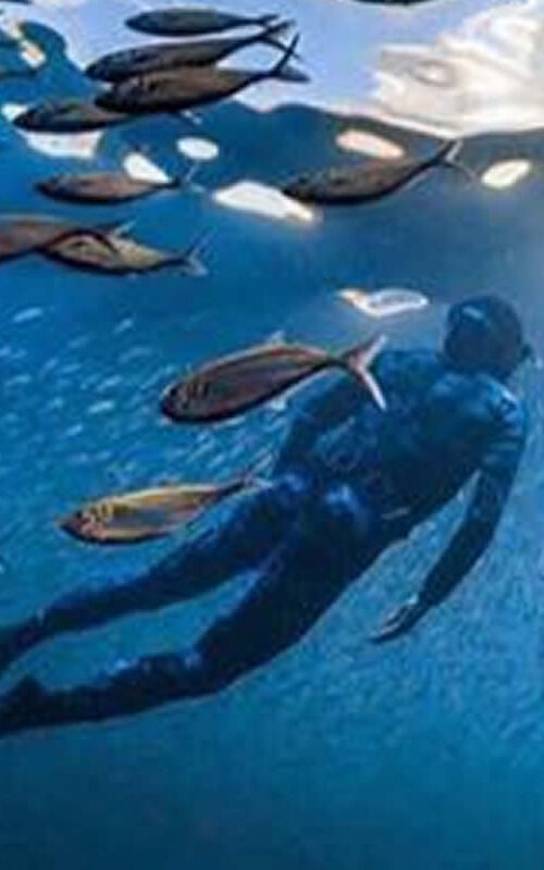 Scuba Diving or Freediving – The Pepsi and Coke of Underwater Sports