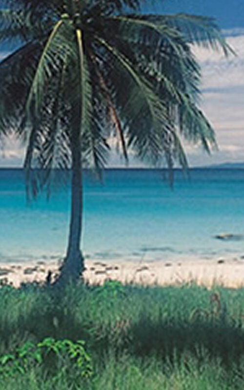 The History of Koh Tao
