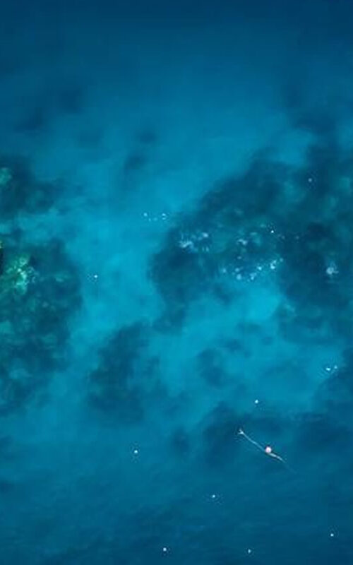 The Top 5 Best Koh Tao Dive Sites You NEED to Visit