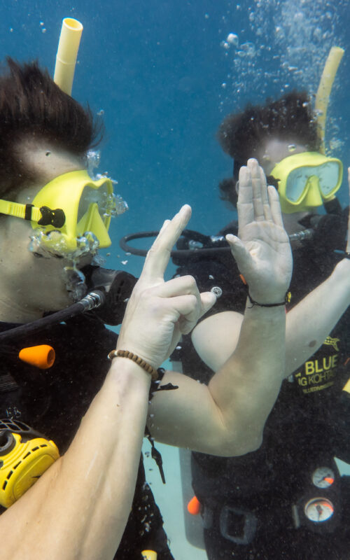 Do Your Advanced Diving Course on Koh Tao