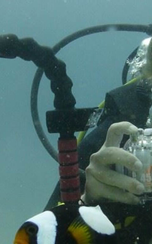 Learning Underwater Photography on Koh Tao