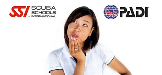 A student deciding on whether to choose SSI or PADI to dive with.