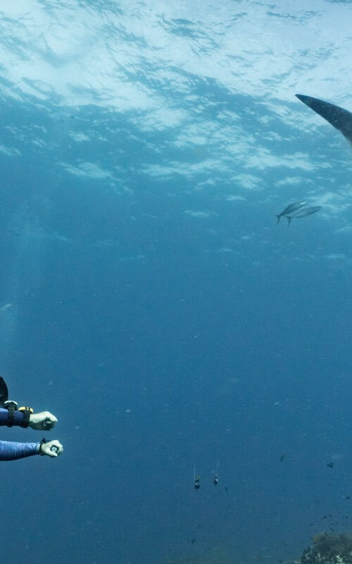 The Top Dive Centre on Koh Tao