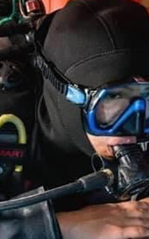 Open Water Course – Online Learning