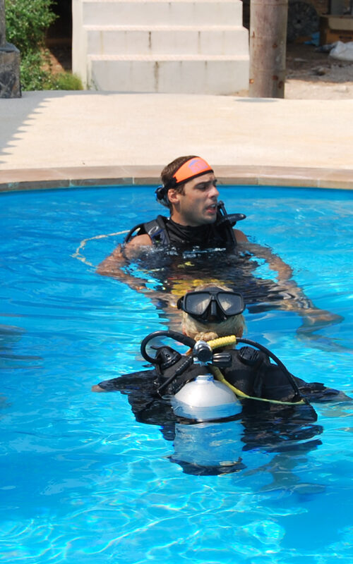 Open Water Scuba Diving Certification