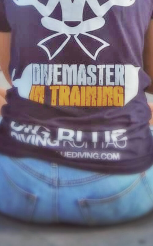 Do Your Professional Divemaster Training In Paradise