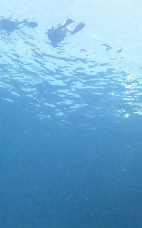 Leading the Way in Apnea Diving on Koh Tao