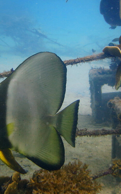 We’re Proud of Our Marine Conservation Internship Program