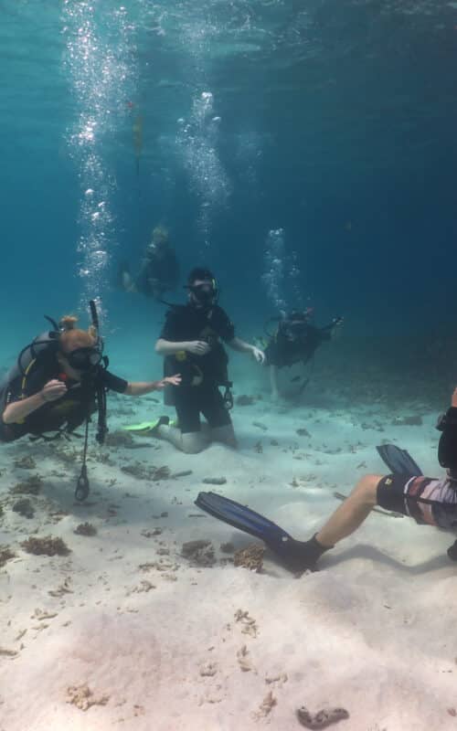Meet your SSI Instructor Trainer at Big Blue Pro