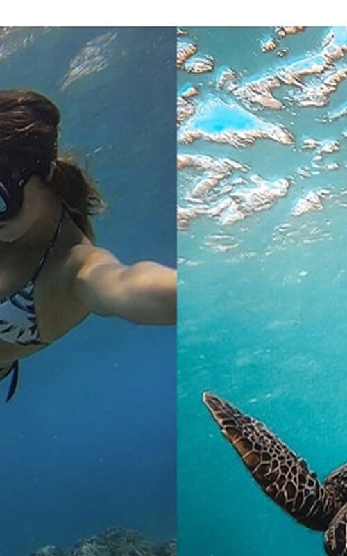 Underwater Photography – Our Best Tips