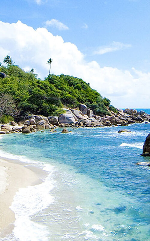 Reopening Koh Tao.