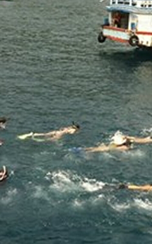 Swim for Sharks 2021