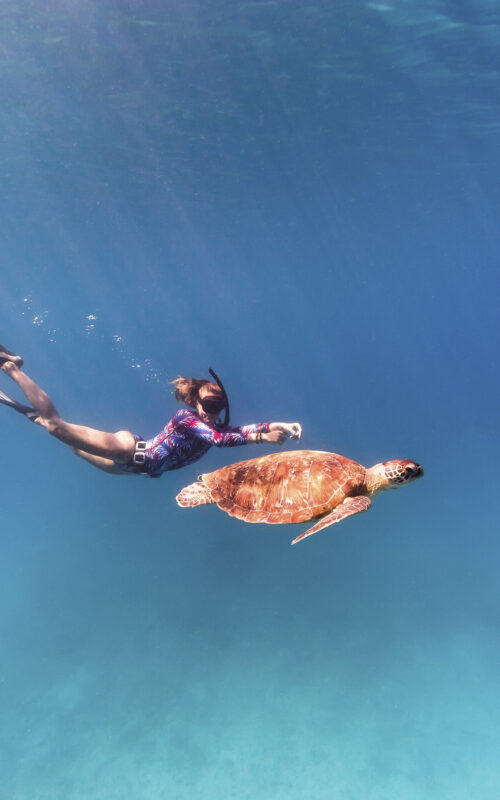 What to do and where to go on Koh Tao