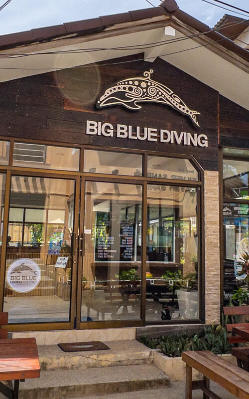 How to choose a good Dive Center on Koh Tao?