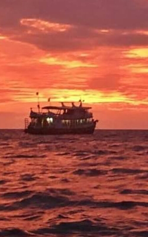 Scuba Diving from Koh Samui