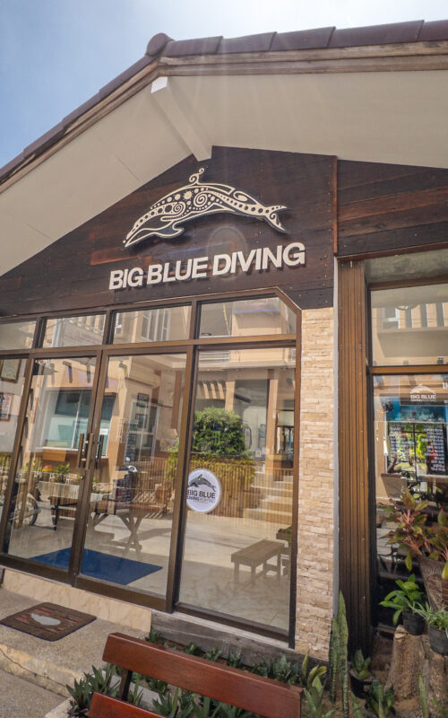 Who is Koh Tao’s BEST Dive School?