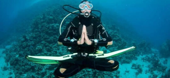 diver hovvers