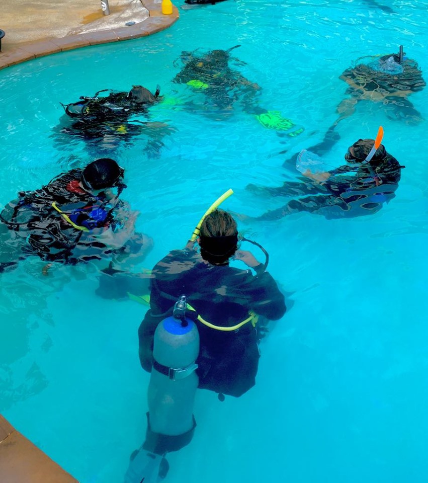 Divers in a pool