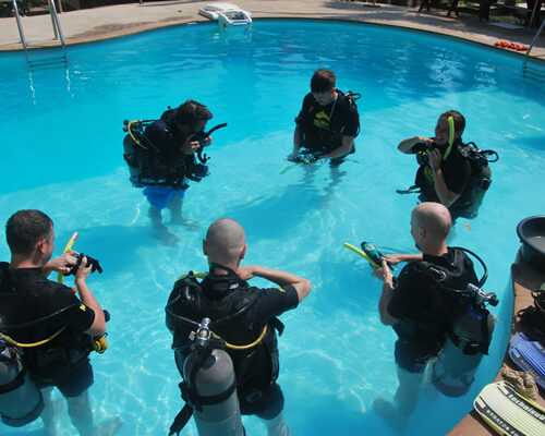 Become a full time Scuba Diving Professional