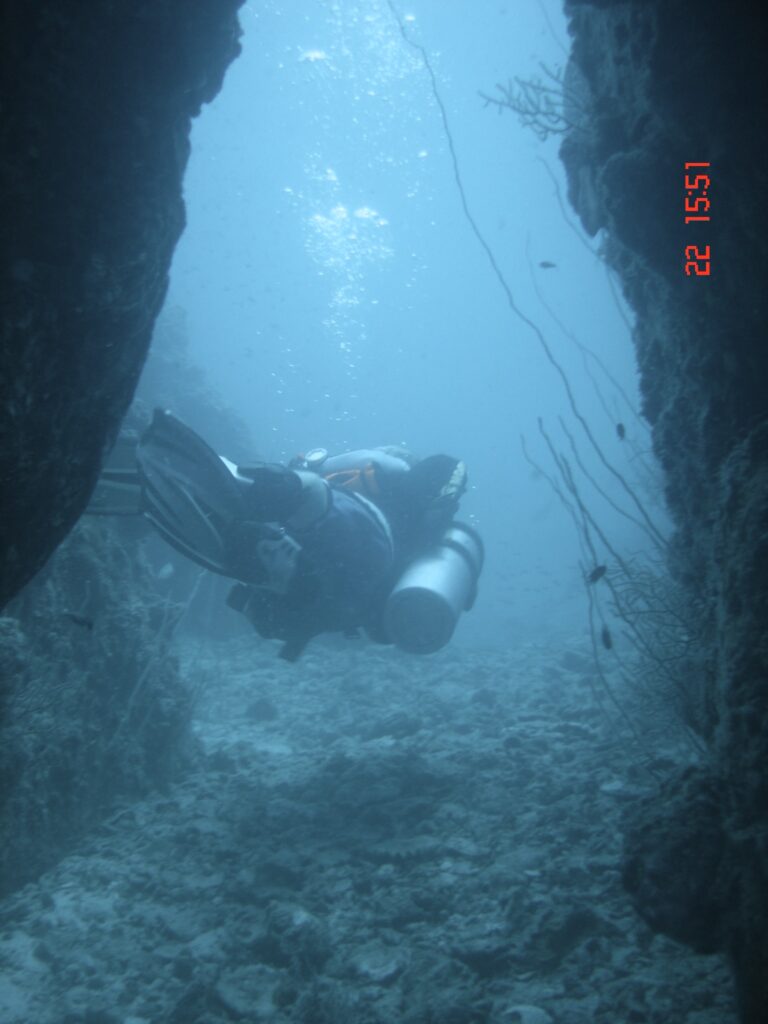 Diver in an arch