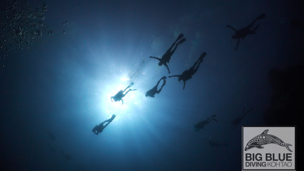 Scuba Divers