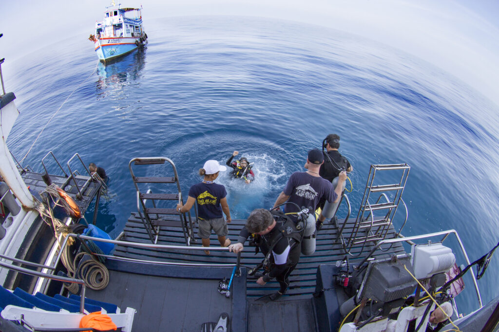Divers at the surface
