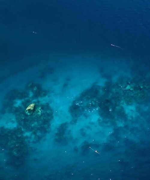The Top 10 Dive Sites on Koh Tao. In Order!!!