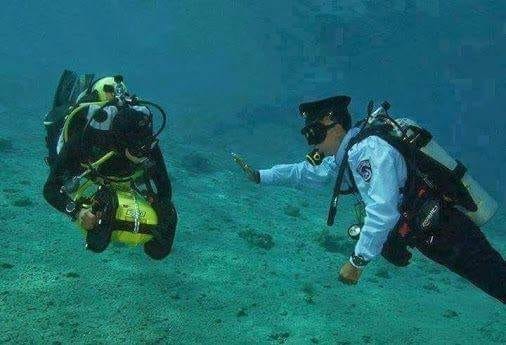 Police diver