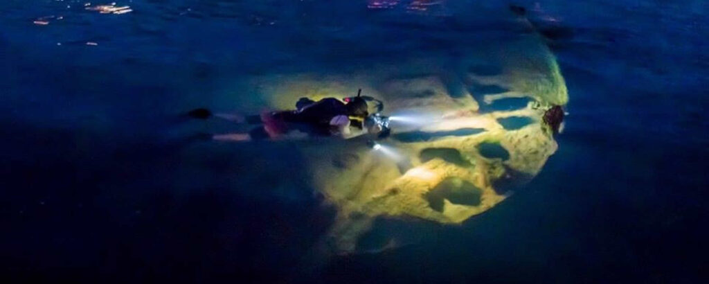 Night diving