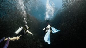 Divers diving