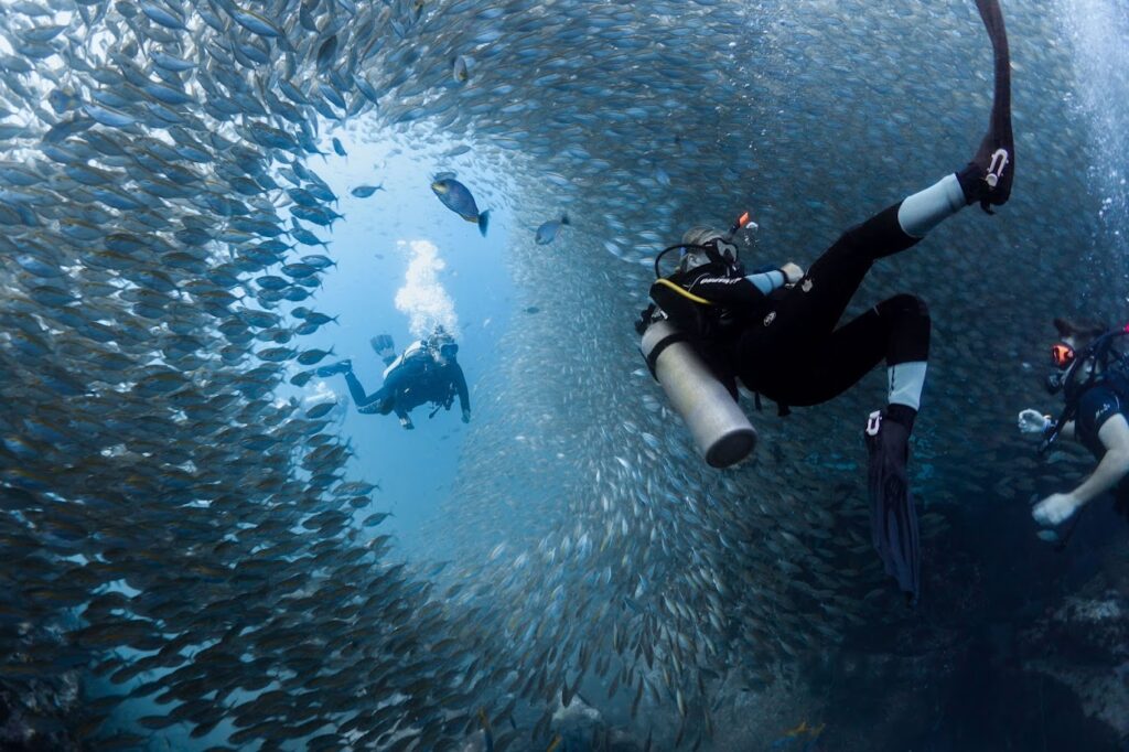 Divers wormhole