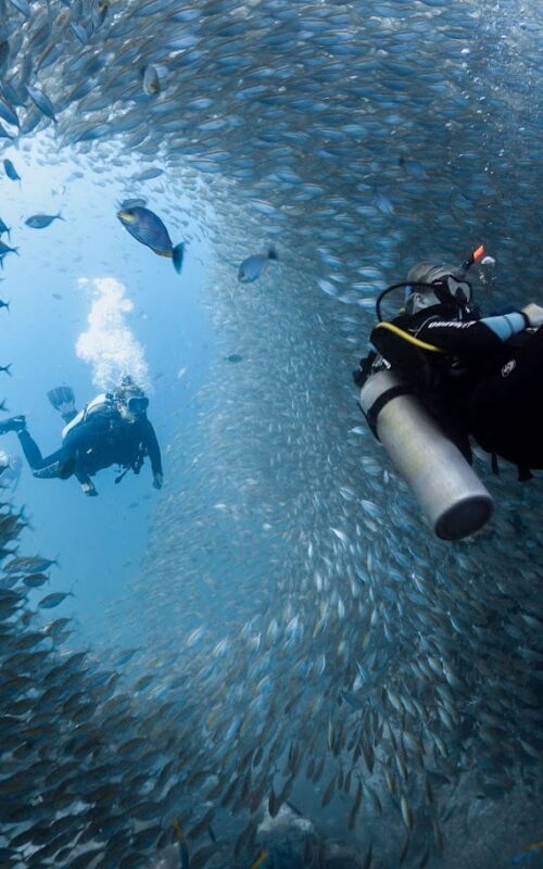 Why You Should Book Your Open Water and Advanced Course.