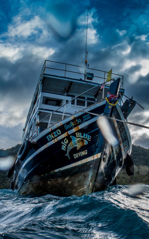 How Many Dive Schools on Koh Tao are there?