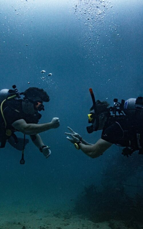 Fun Diving on Koh Tao: A Relaxed Approach to Incredible Diving